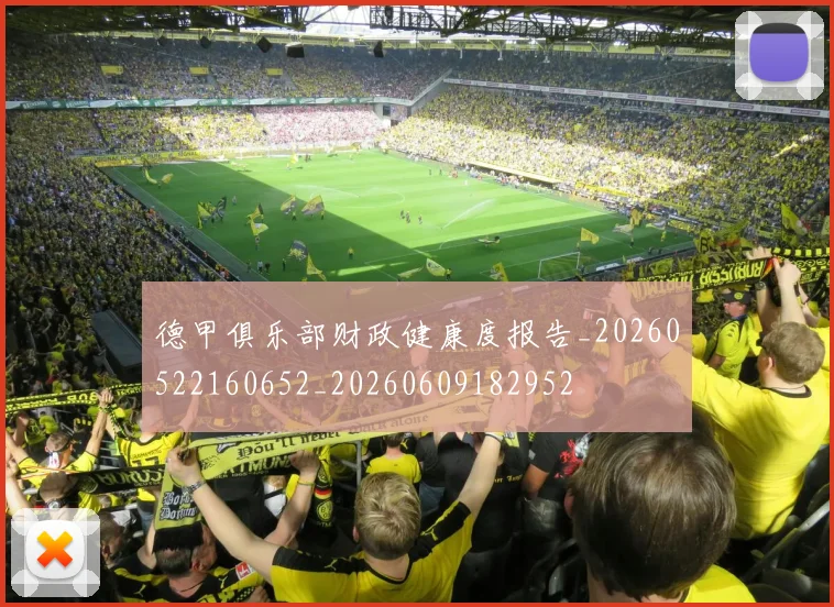 德甲俱乐部财政健康度报告_20260522160652_20260609182952